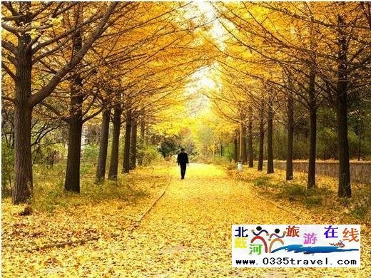 山海關(guān)望海度假村