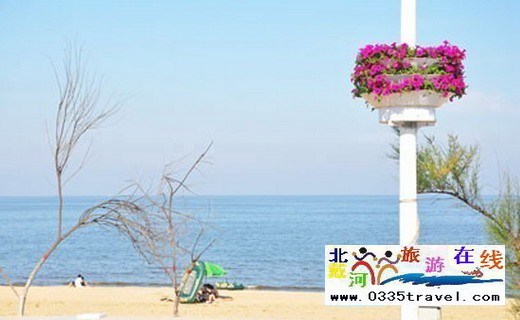 黃金海岸博維大酒店