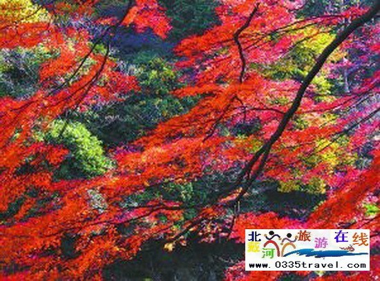 請(qǐng)父母旅游小貼士