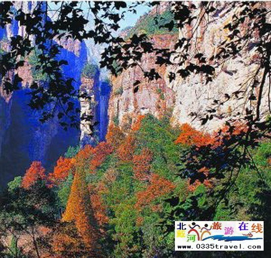 請(qǐng)父母旅游小貼士