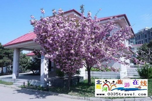 南戴河近海獨(dú)棟別墅