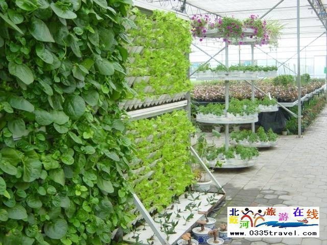 北戴河集發(fā)生態(tài)觀光園