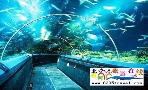 山海關(guān)樂島海洋公園