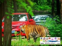 秦皇島野生動(dòng)物園景點(diǎn)門票優(yōu)惠88元起團(tuán)，一人也成團(tuán)，團(tuán)隊(duì)更優(yōu)惠，咨詢電話0335-3522599: