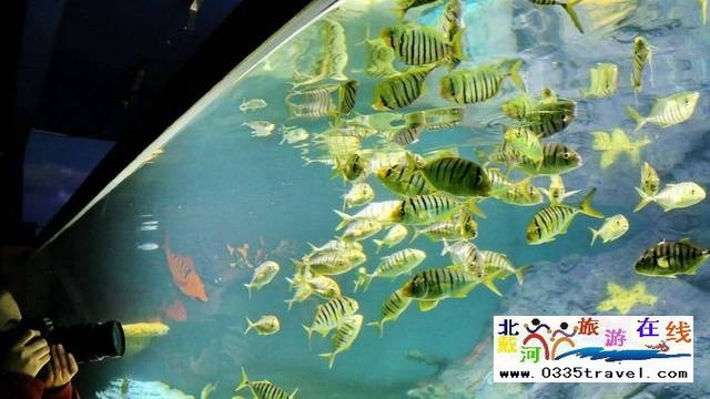 圣藍(lán)皇家海洋公園