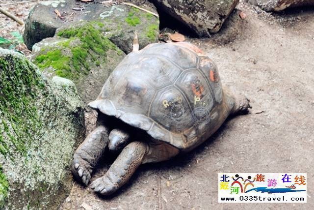 圣藍(lán)皇家海洋公園