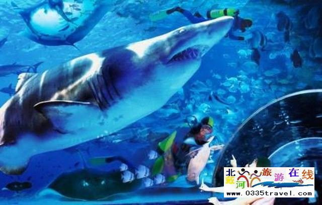 北戴河圣藍(lán)皇家海洋公園