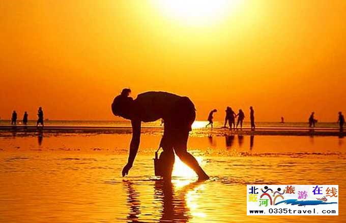 東戴河北戴河南戴河出海打漁看日出電話0335-3522599,13785079044