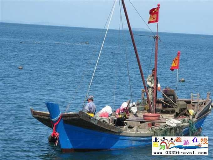 來東戴河您必須做這些事兒