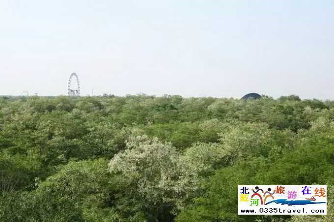 北戴河湯泉高爾夫公寓