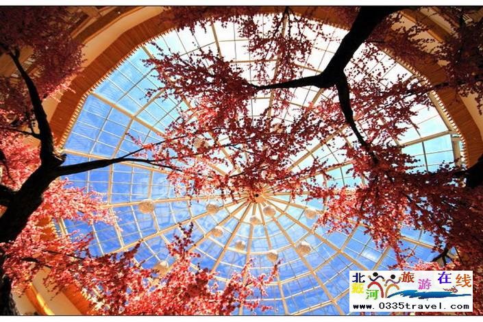 隆化楓水灣森林溫泉城酒店