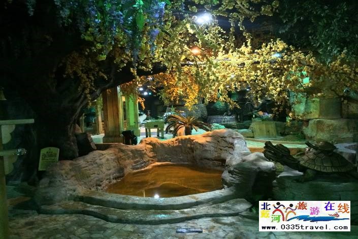 隆化楓水灣森林溫泉城酒店