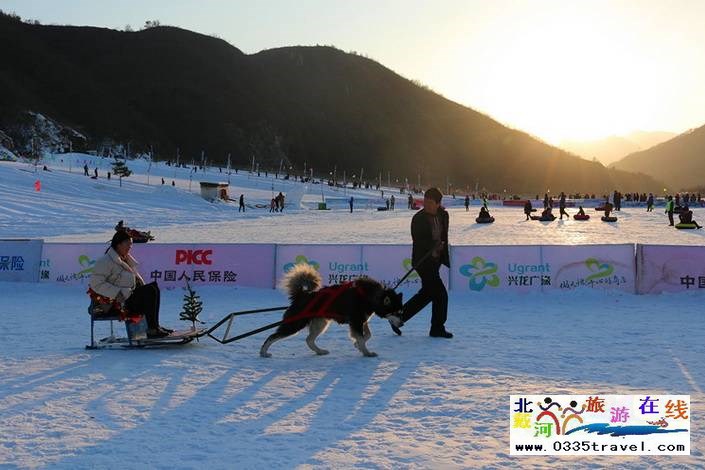 秦皇島老君頂景區(qū)咨詢電話18633570222 15703350808