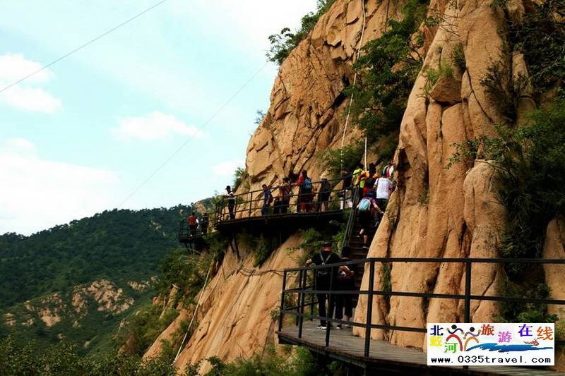 秦皇島龍?jiān)乒龋∩叫闼┚皡^(qū)電話18633570222  15703350808