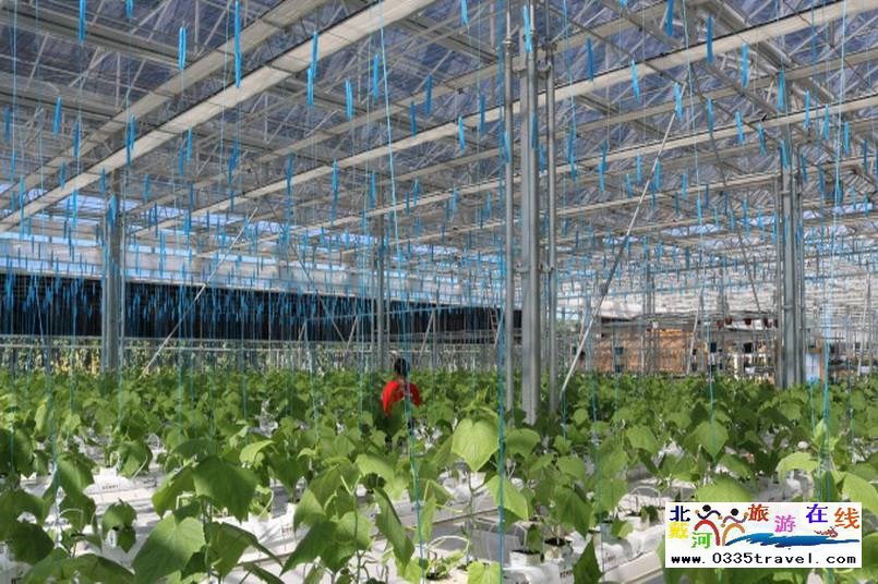 北戴河集發(fā)夢想王國電話18633570222  15703350808