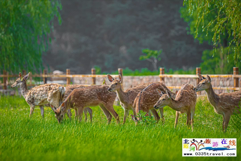 秦皇島祖山天女小鎮(zhèn)丹栗客棧