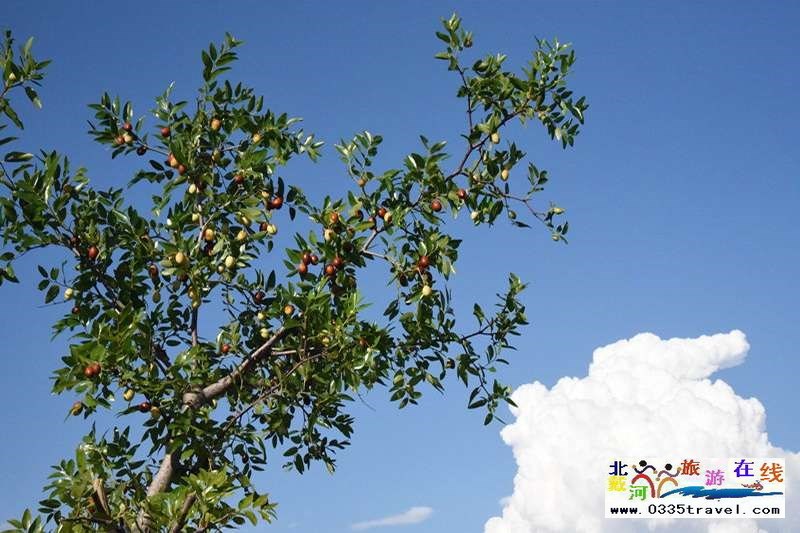 秦皇島盧龍棋盤山景區(qū)電話0335-3522588