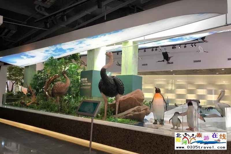 秦皇島北戴河鳥類博物館