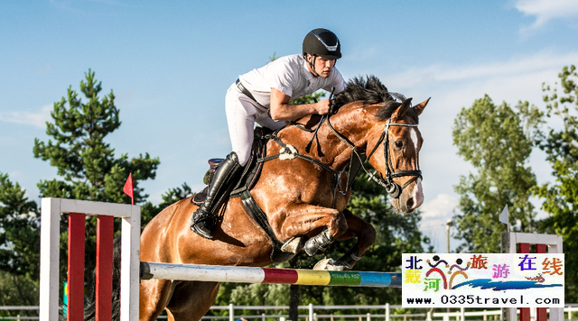 秦皇島北戴河馬術(shù)俱樂(lè)部電話18633570222