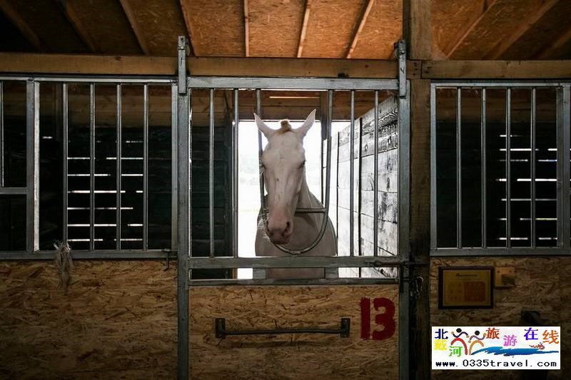 北戴河英倫國(guó)際馬術(shù)俱樂(lè)部