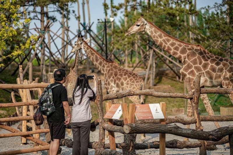 北戴河漁田小鎮(zhèn)七里海度假區(qū)-萬得瀾度假酒店&七里宿集民宿